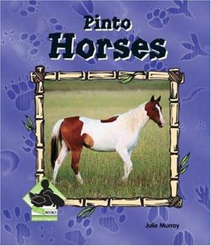 Library Binding Pinto Horses Book