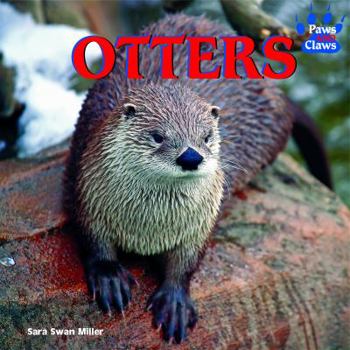 Library Binding Otters Book