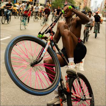 Paperback Bike Life Book