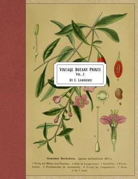 Paperback Vintage Botany Prints: Vol. 2 Book