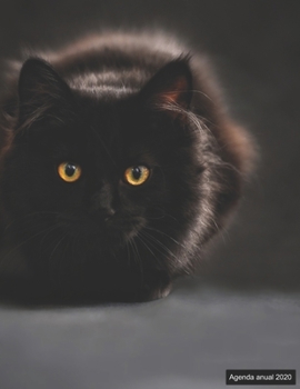Agenda anual 2020: Agenda anual para 2020, 12 meses, agenda de 52 semanas  con tareas y metas; formato A4+; motivo: schwarze Katze (Spanish Edition)