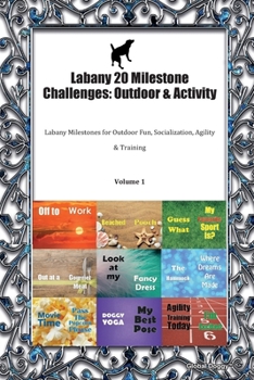 Paperback Labany 20 Milestone Challenges: Outdoor & Activity: Labany Milestones for Outdoor Fun, Socialization, Agility & Training Volume 1 Book