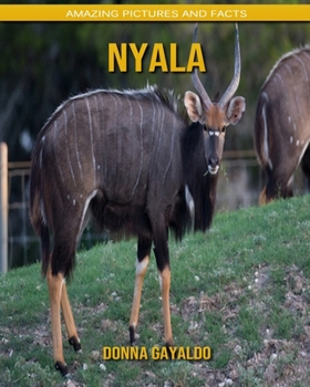 Nyala: Amazing Pictures and Facts
