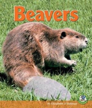 Library Binding Beavers Book