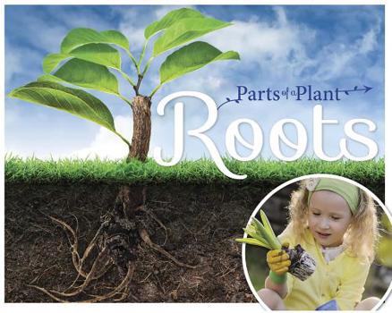 Hardcover Roots Book