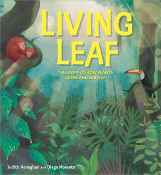 Paperback Plant Life: Living Leaf: The Story of How Plants Grow and Survive Book