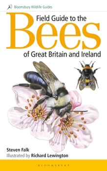 Paperback Field Guide to the Bees of Great Britain and Ireland (Bloomsbury Wildlife Guides) Book