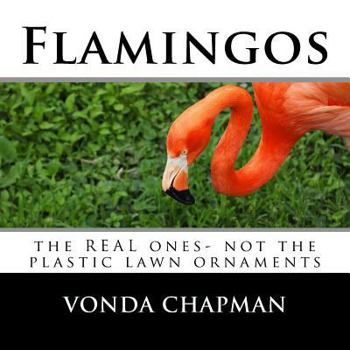 Paperback Flamingos: the REAL ones- not the plastic lawn ornaments Book