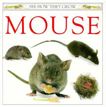 Hardcover Mouse: 9 Book