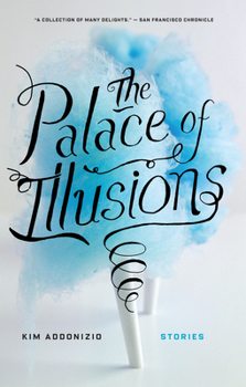 Hardcover The Palace of Illusions Book