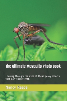 The Ultimate Mosquito Photo Book: Looking through the eyes of these pesky insects that don’t have teeth