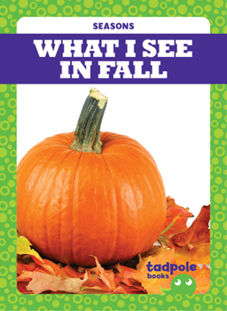 Paperback What I See in Fall Book