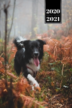 Border Collie Dog Calendar Week Planner 2020 / 2021 - Walk in the Forest: Pup Puppy Doggie Pet Owner Weekly Bullet Journal Notebook Diary in 6” x 9” Inch Pocket Size