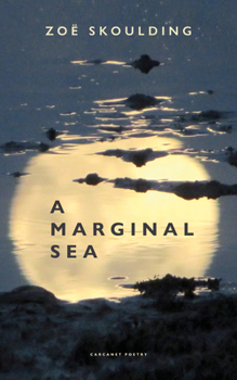 Paperback A Marginal Sea Book