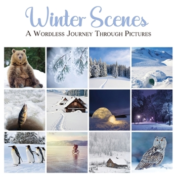 Paperback Winter Scenes: A Wordless Journey Through Pictures Book