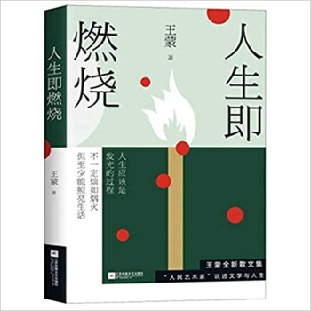 Paperback Wang Meng [Chinese] Book