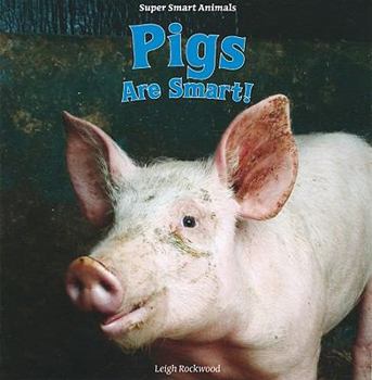 Paperback Pigs Are Smart! Book