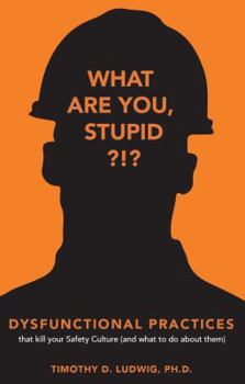 Paperback Dysfunctional Practices: that kill your Safety Culture (and what to do about them) Book