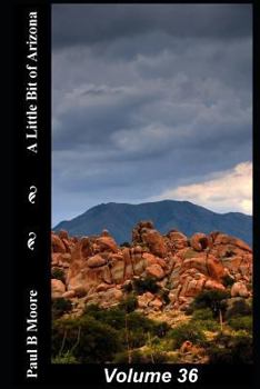 Paperback A Little Bit of Arizona: Volume 36 Book