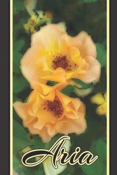 Aria: Personal Diary