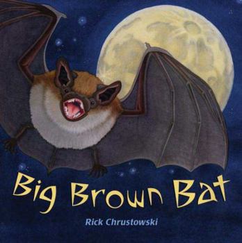 Hardcover Big Brown Bat Book