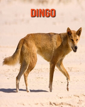 Paperback Dingo: Amazing Facts about Dingo Book