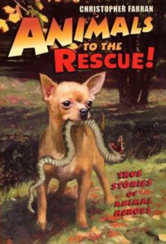 Paperback Animals to the Rescue!: True Stories of Animal Heroes Book