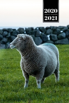 Sheep Lamm Shepherd Herder Farmer Week Planner Weekly Organizer Calendar 2020 / 2021 - Beautiful View: Cute Wildlife Animal Pet Bullet Journal Notebook Diary in 6” x 9” Inch Pocket Size