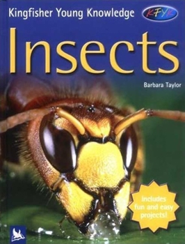 Insects - Book  of the Kingfisher Young Knowledge