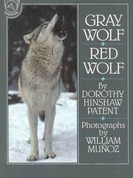 Paperback Gray Wolf, Red Wolf Book