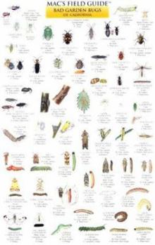 Cards Mac's Field Guides: California Garden Bugs Book