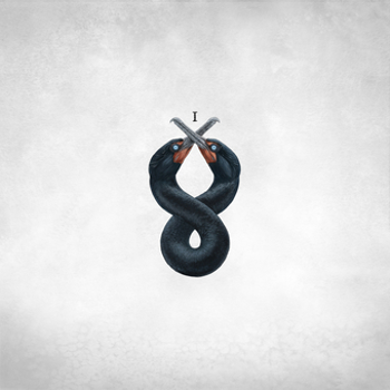 Vinyl Cormorant I Book