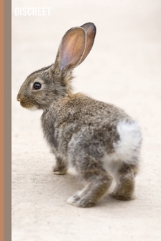 Discreet Internet Username And Password Keeper Book: Disguised Rabbit Secret Password Login Account Organizer Logbook Alphabetized 6"x9"