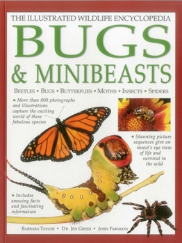 Paperback The Illustrated Wildlife Encyclopedia: Bugs & Minibeasts: Beetles, Bugs, Butterflies, Moths, Insects, Spiders Book