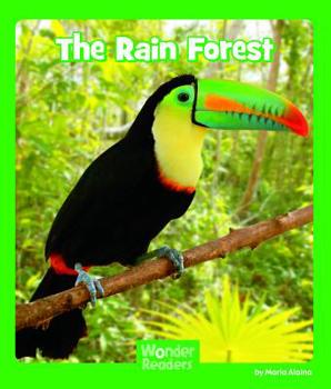 Paperback The Rain Forest Book