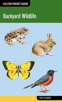 Paperback Backyard Wildlife Book