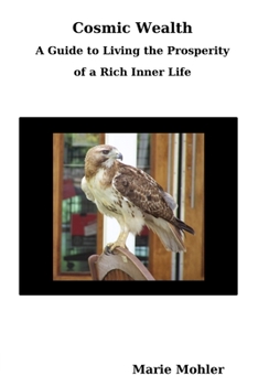 Paperback Cosmic Wealth: A Guide to Living the Prosperity of a Rich Inner Life Book