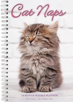 Calendar 2020 Cat Naps 18-Month Weekly Planner: By Sellers Publishing Book