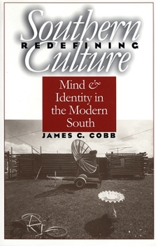 Paperback Redefining Southern Culture: Mind and Identity in the Modern South Book