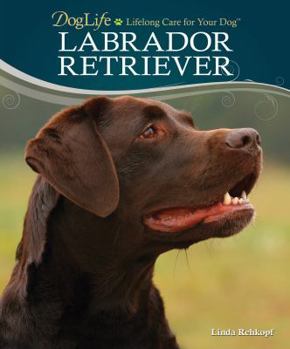 Labrador Retriever - Book  of the Dog Life