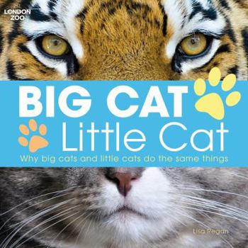 Paperback Big Cat, Little Cat Book