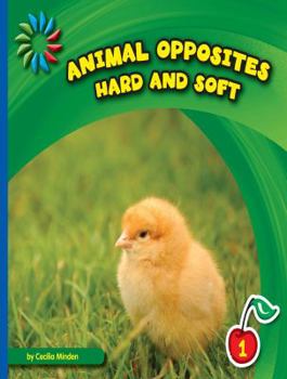 Hard and Soft - Book  of the Animal Opposites