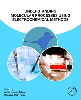 Paperback Understanding Molecular Processes Using Electrochemical Methods Book