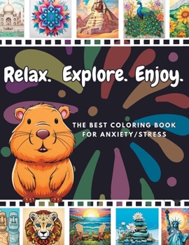 Paperback Adult Coloring Book: Stress and Anxiety Relief Book