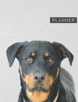 Paperback Planner: Rottweiler 2 Year Weekly Planning Organizer - 2020 - 2021 - January 20 - December 21 - Writing Notebook - Productive D Book