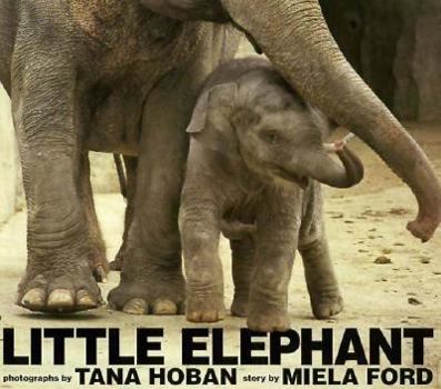 Hardcover Little Elephant Book