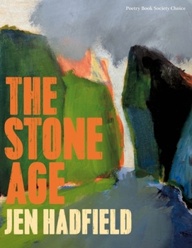 Paperback The Stone Age Book