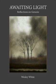 Paperback Awaiting Light: Reflections on Genesis Book