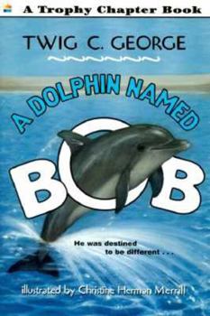 Paperback A Dolphin Named Bob Book