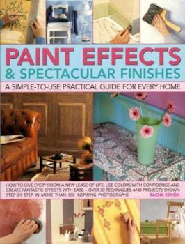 Paperback Paint Effects & Spectacular Finishes: A Simple-To-Use Practical Guide for Every Home Book